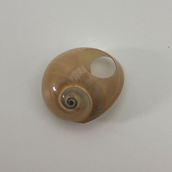 New VTG Sz 3 Ring Beige Turbo Sea Shell Artisan Hand Carved Pinky Finger - Picture 4 of 9